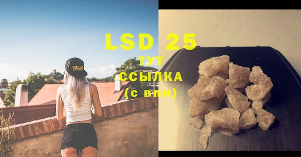 PSILOCYBIN Зеленодольск